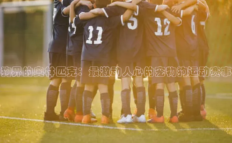 金年汇app官方网站下载安装