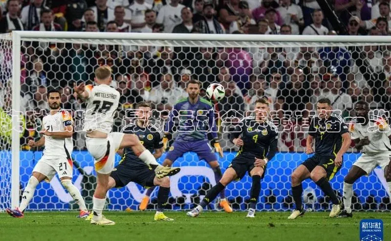 金字招牌诚信至上今年会